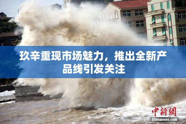 玖辛重现市场魅力，推出全新产品线引发关注