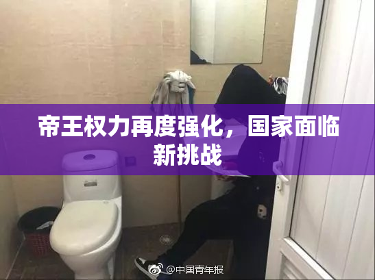 帝王权力再度强化，国家面临新挑战