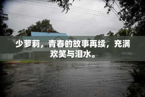 少萝莉，青春的故事再续，充满欢笑与泪水。