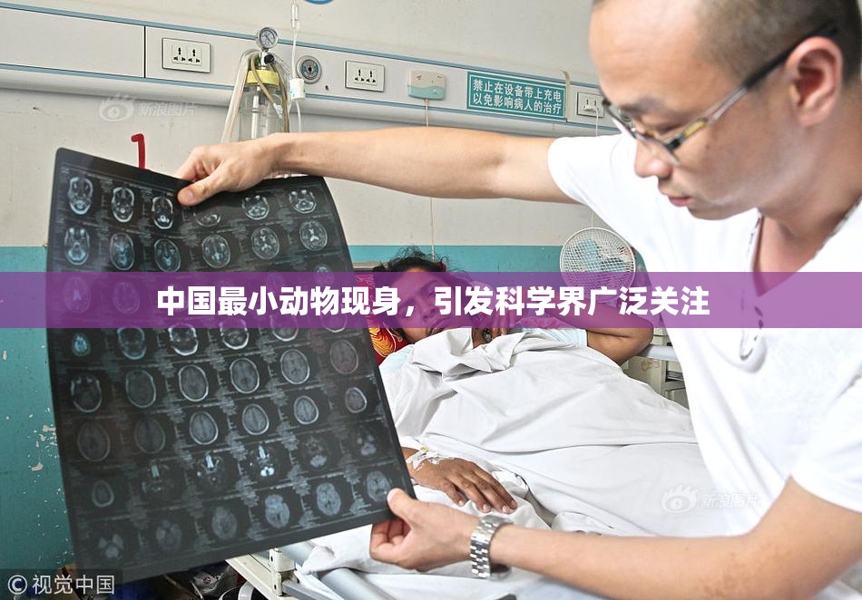 中国最小动物现身，引发科学界广泛关注