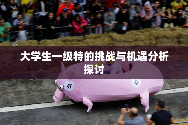 大学生一级特的挑战与机遇分析探讨