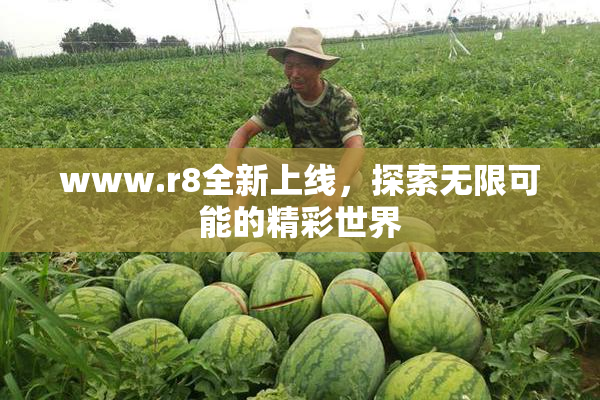 www.r8全新上线，探索无限可能的精彩世界