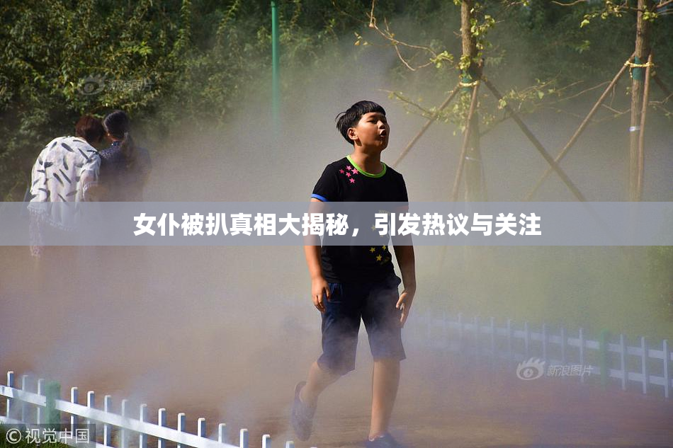 女仆被扒真相大揭秘，引发热议与关注