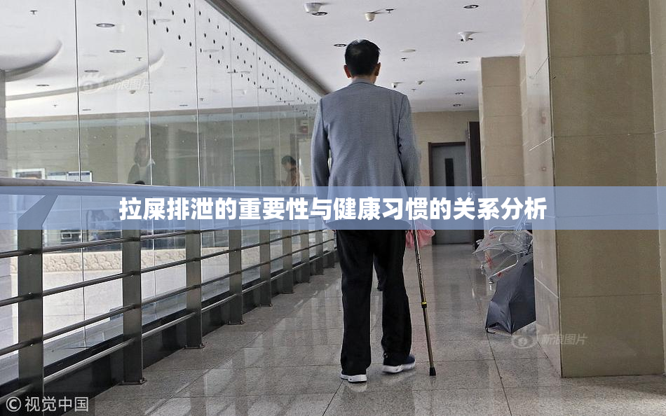 拉屎排泄的重要性与健康习惯的关系分析