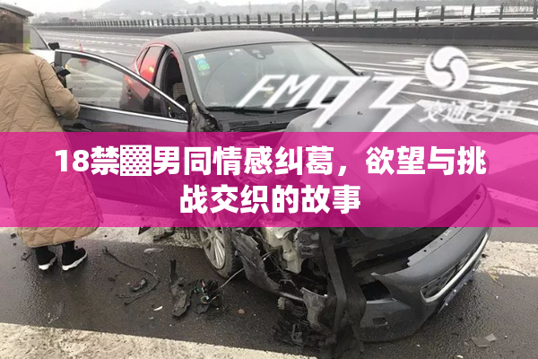18禁▓男同情感纠葛，欲望与挑战交织的故事