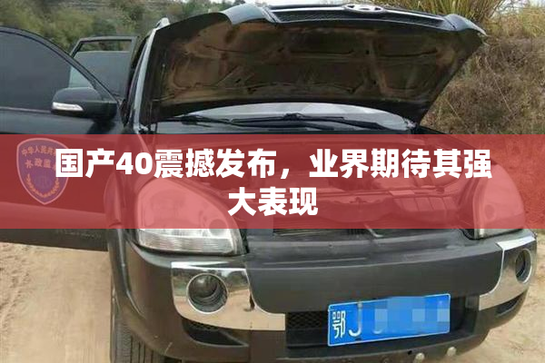 国产40震撼发布，业界期待其强大表现
