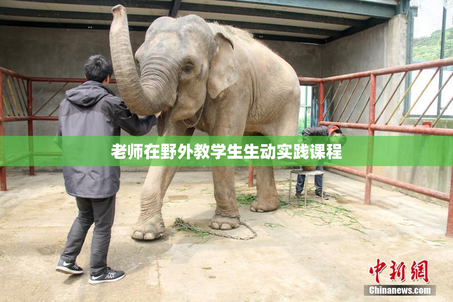 老师在野外教学生生动实践课程