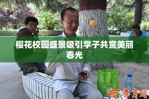 樱花校园盛景吸引学子共赏美丽春光