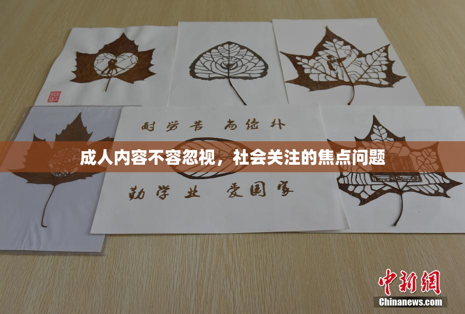 成人内容不容忽视，社会关注的焦点问题
