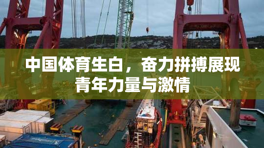 中国体育生白，奋力拼搏展现青年力量与激情
