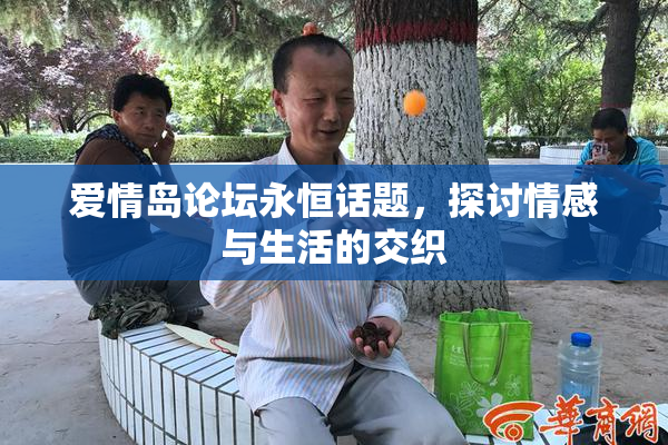 爱情岛论坛永恒话题，探讨情感与生活的交织