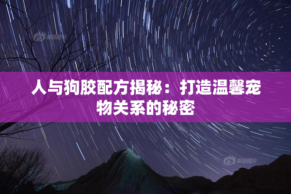 人与狗胶配方揭秘：打造温馨宠物关系的秘密