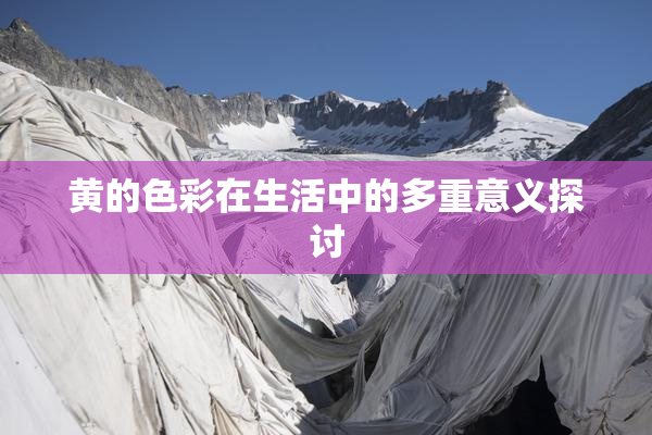 黄的色彩在生活中的多重意义探讨