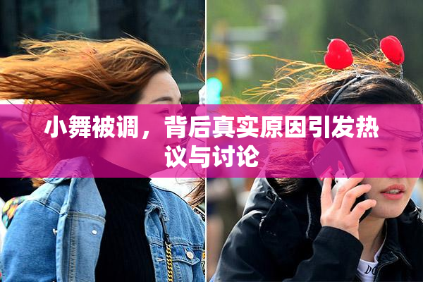 小舞被调，背后真实原因引发热议与讨论