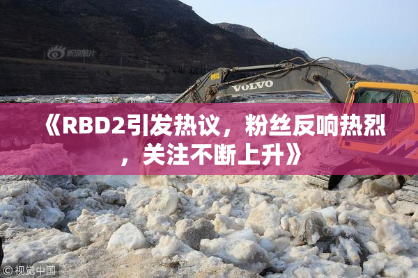 《RBD2引发热议，粉丝反响热烈，关注不断上升》