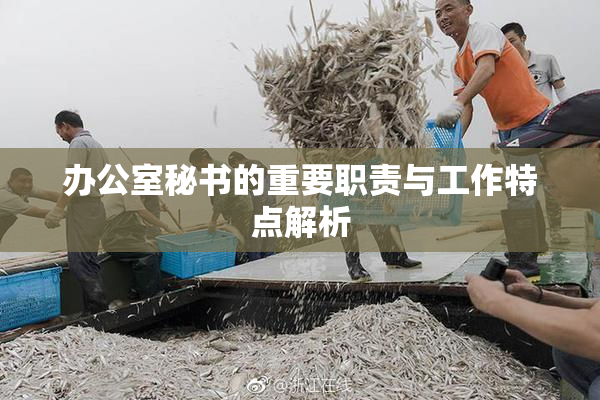 办公室秘书的重要职责与工作特点解析