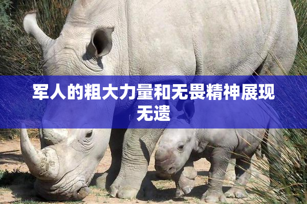 军人的粗大力量和无畏精神展现无遗