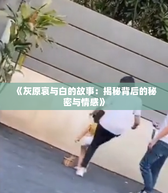 《灰原哀与白的故事：揭秘背后的秘密与情感》