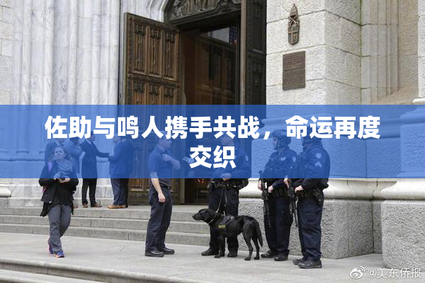 佐助与鸣人携手共战，命运再度交织