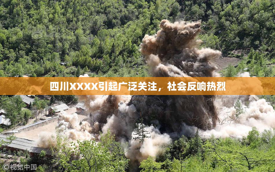 四川XXXX引起广泛关注，社会反响热烈