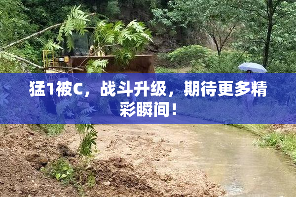 猛1被C，战斗升级，期待更多精彩瞬间！