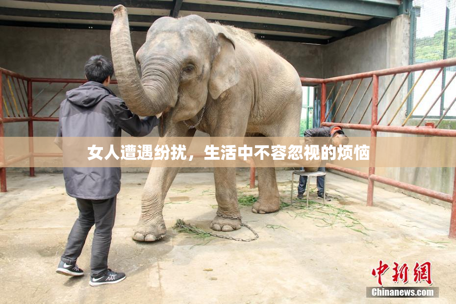 女人遭遇纷扰，生活中不容忽视的烦恼