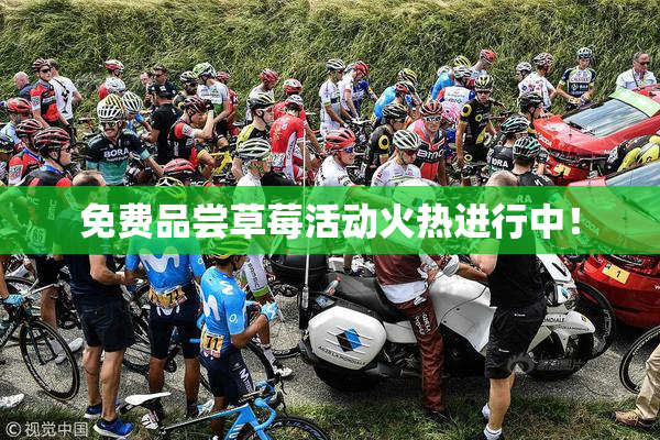 免费品尝草莓活动火热进行中！