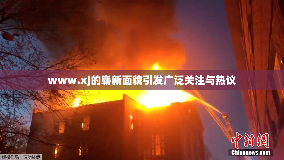www.xj的崭新面貌引发广泛关注与热议