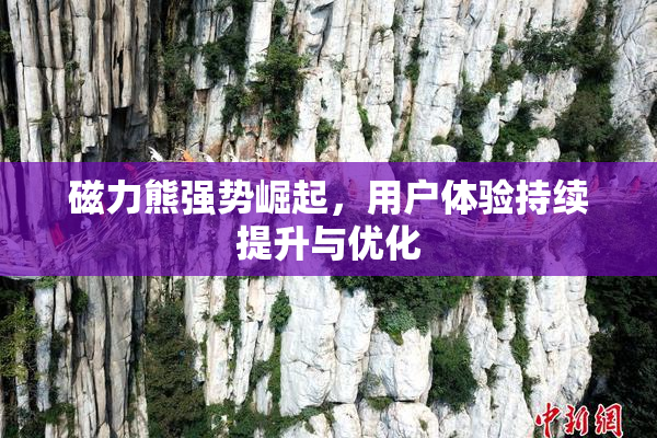 磁力熊强势崛起，用户体验持续提升与优化