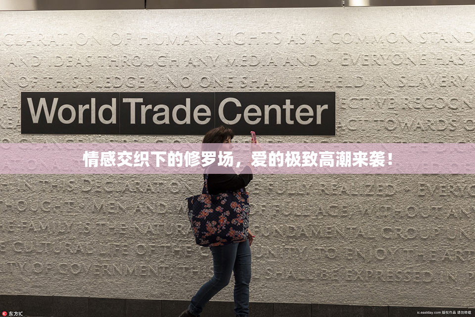 情感交织下的修罗场，爱的极致高潮来袭！
