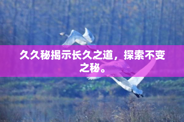久久秘揭示长久之道，探索不变之秘。