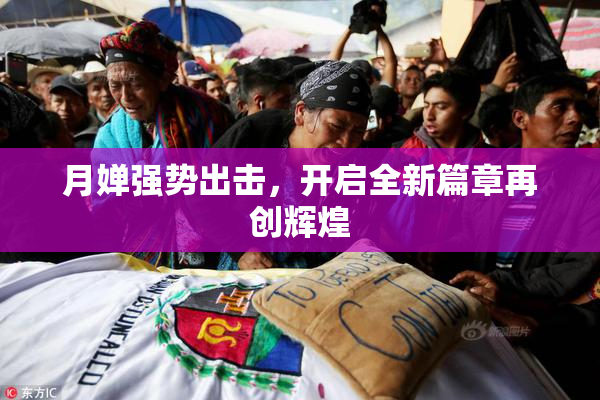 月婵强势出击，开启全新篇章再创辉煌