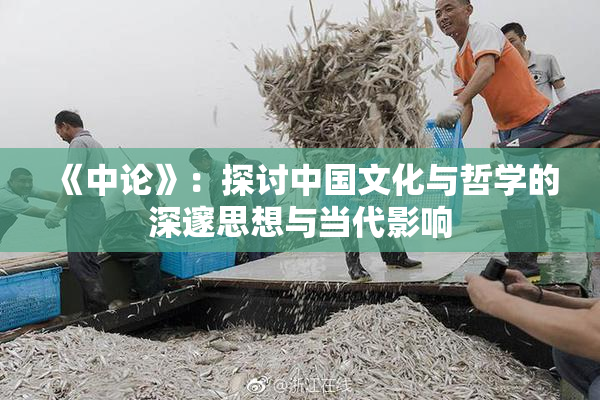《中论》：探讨中国文化与哲学的深邃思想与当代影响