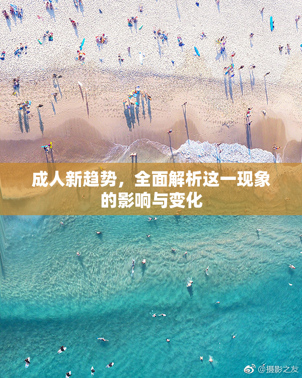 成人新趋势，全面解析这一现象的影响与变化