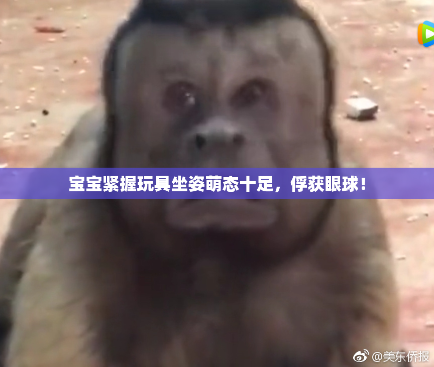 宝宝紧握玩具坐姿萌态十足，俘获眼球！