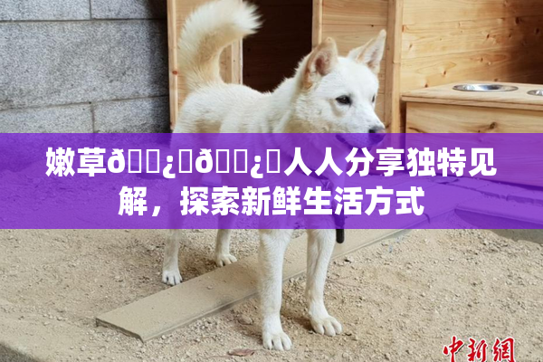 嫩草🌿‌🌿‌人人分享独特见解，探索新鲜生活方式