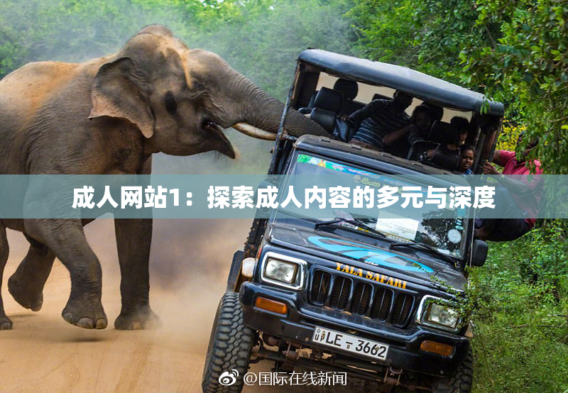成人网站1：探索成人内容的多元与深度