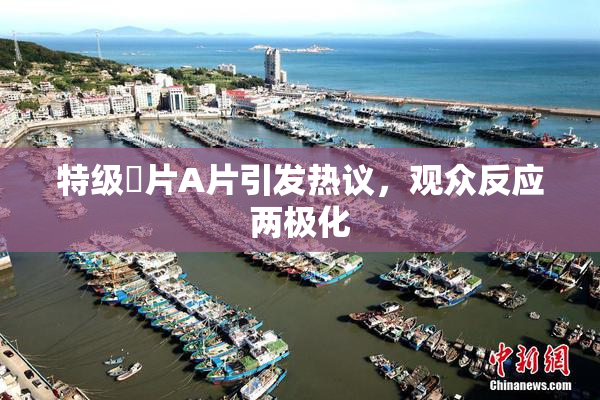 特级婬片A片引发热议，观众反应两极化