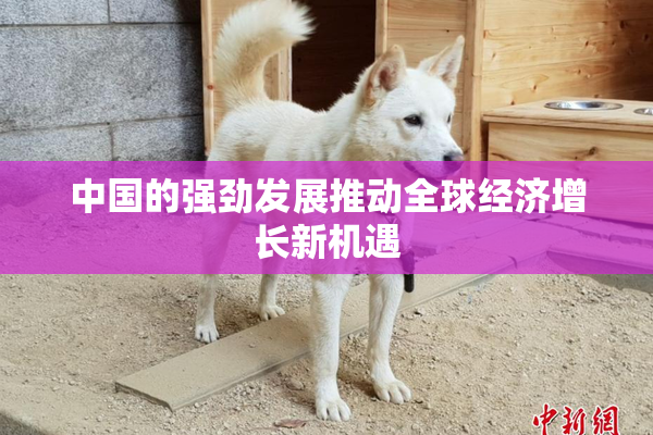 中国的强劲发展推动全球经济增长新机遇