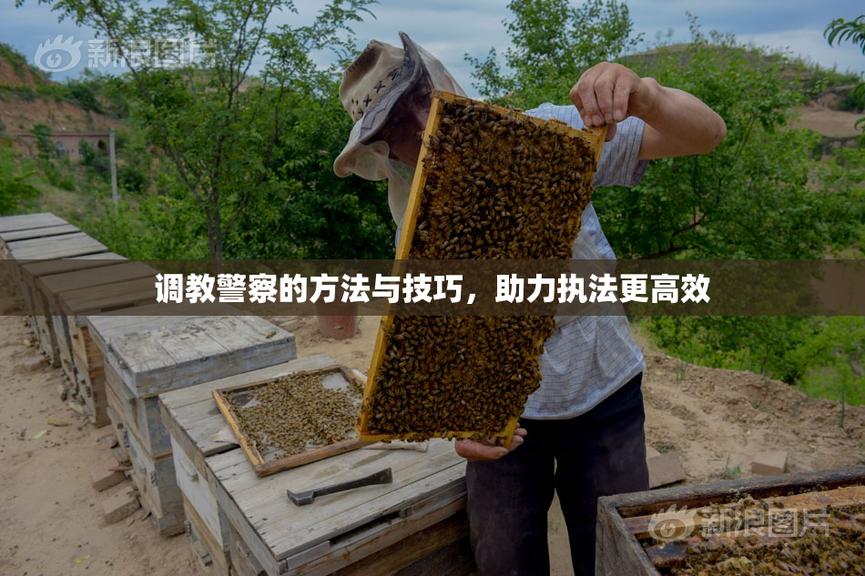 调教警察的方法与技巧，助力执法更高效