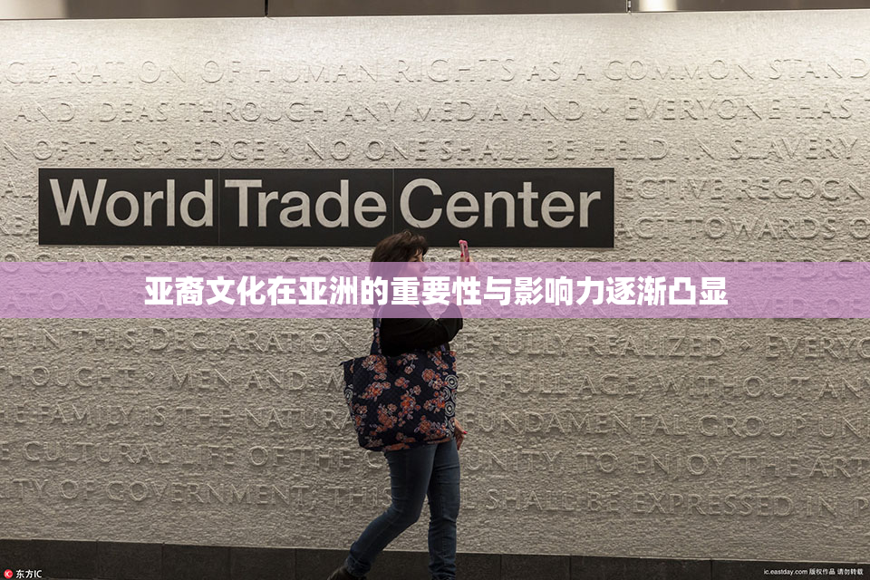 亚裔文化在亚洲的重要性与影响力逐渐凸显