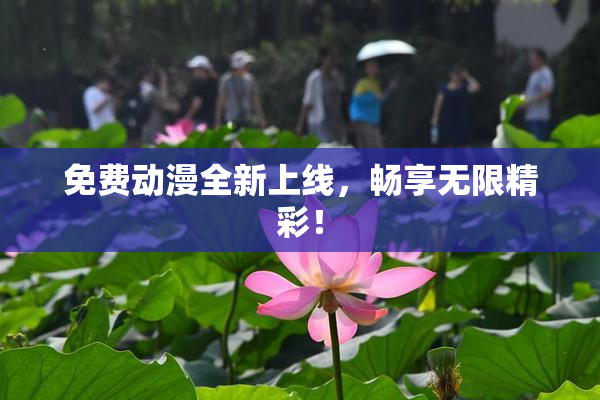 免费动漫全新上线，畅享无限精彩！