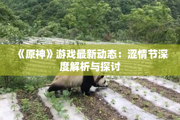 《原神》游戏最新动态：涩情节深度解析与探讨