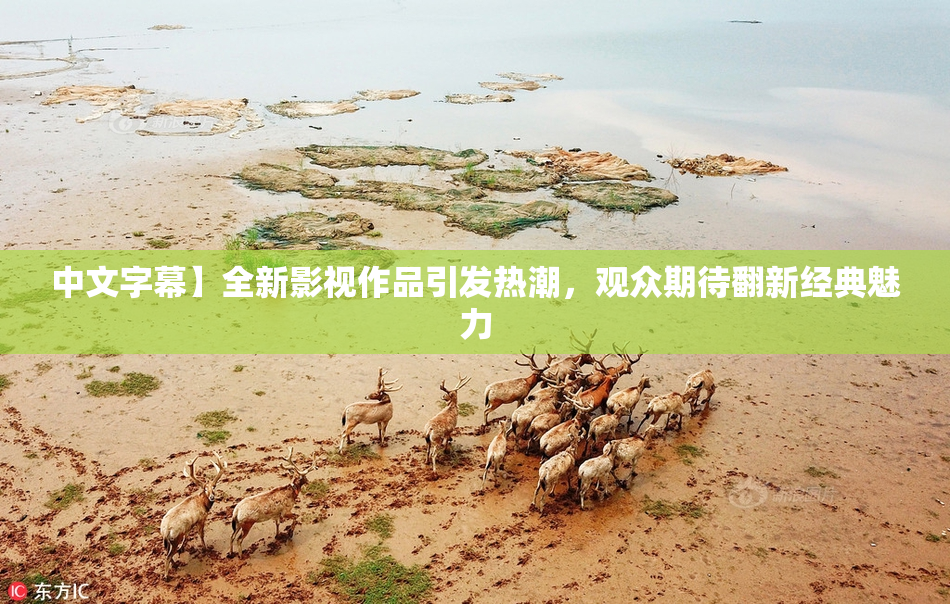 中文字幕】全新影视作品引发热潮，观众期待翻新经典魅力