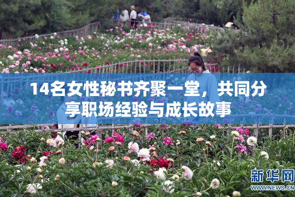 14名女性秘书齐聚一堂，共同分享职场经验与成长故事