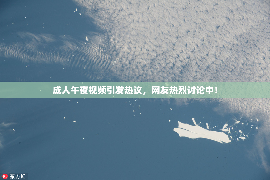 成人午夜视频引发热议，网友热烈讨论中！