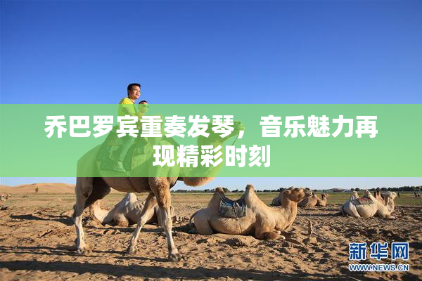 乔巴罗宾重奏发琴，音乐魅力再现精彩时刻