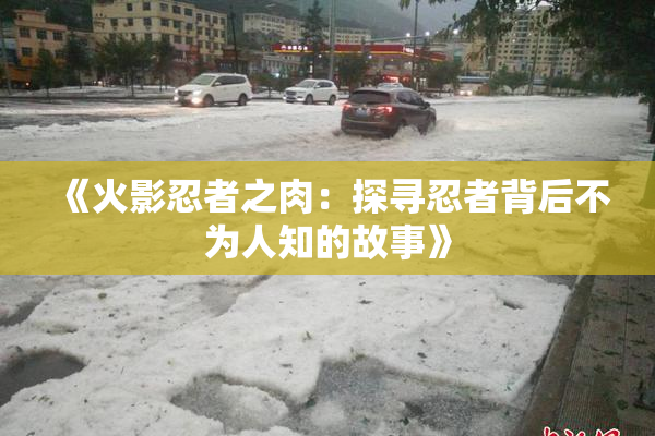 《火影忍者之肉：探寻忍者背后不为人知的故事》