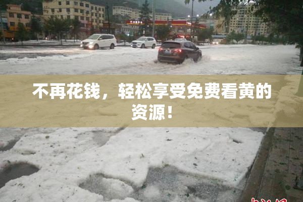 不再花钱，轻松享受免费看黄的资源！