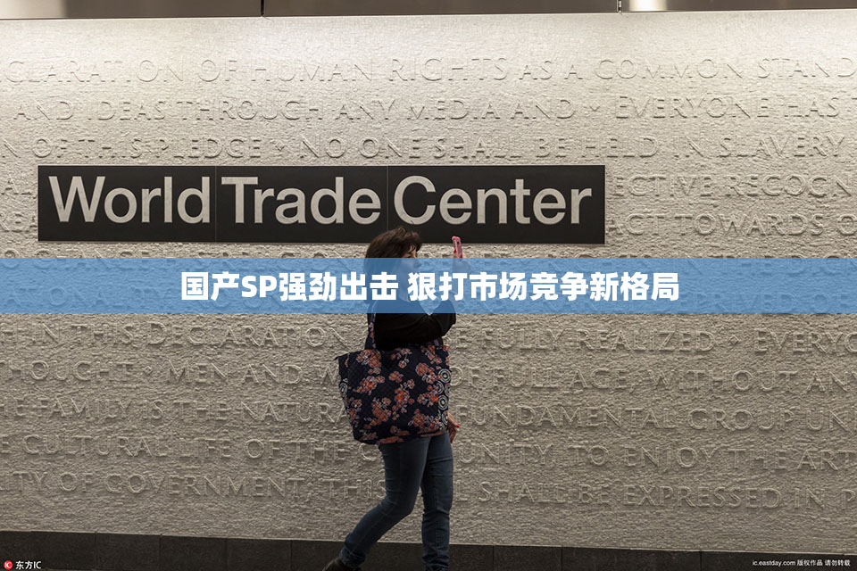 国产SP强劲出击 狠打市场竞争新格局